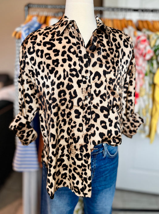 Linda Leopard Blouse