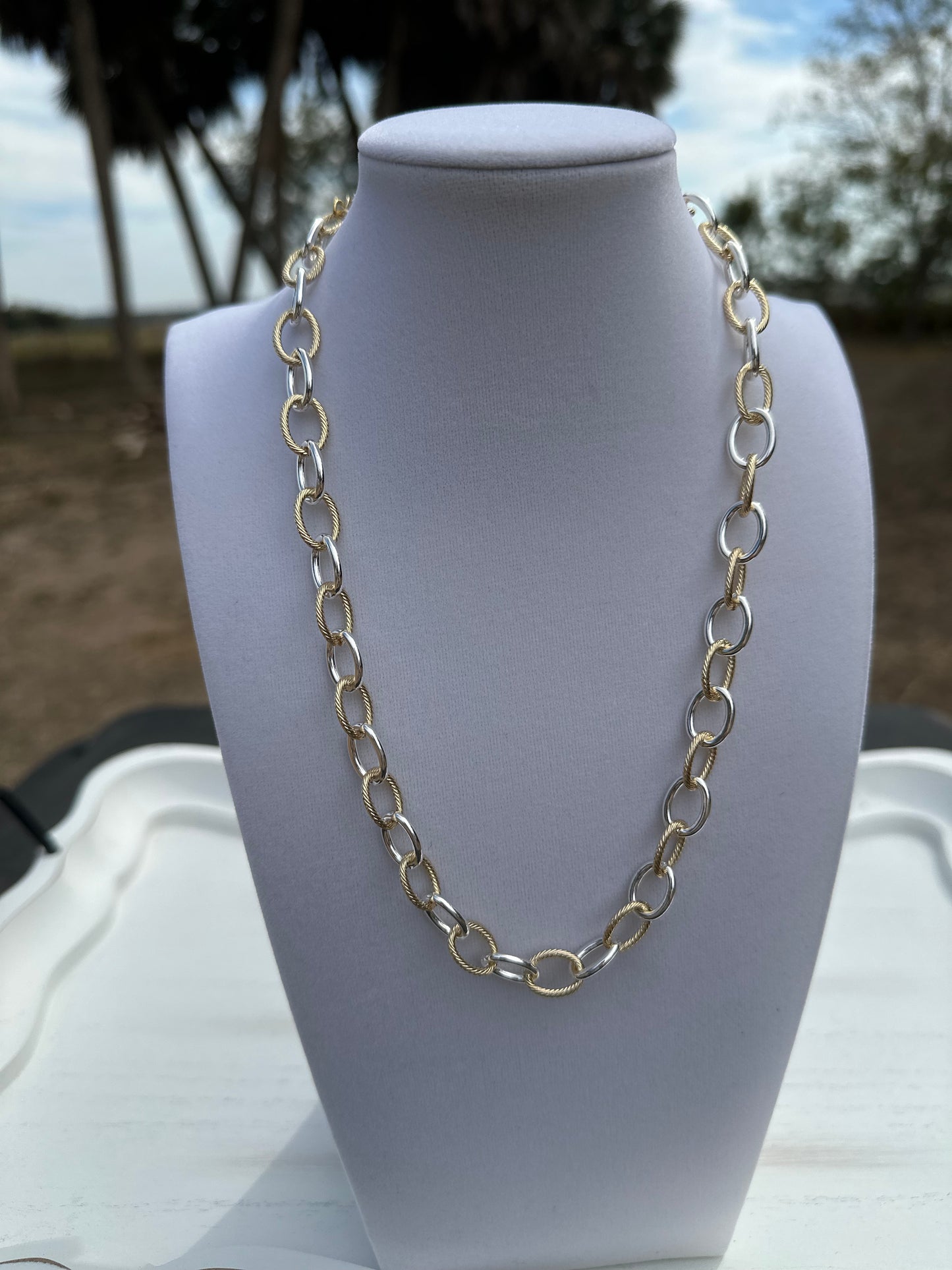 Delaine 2-Tone Necklace